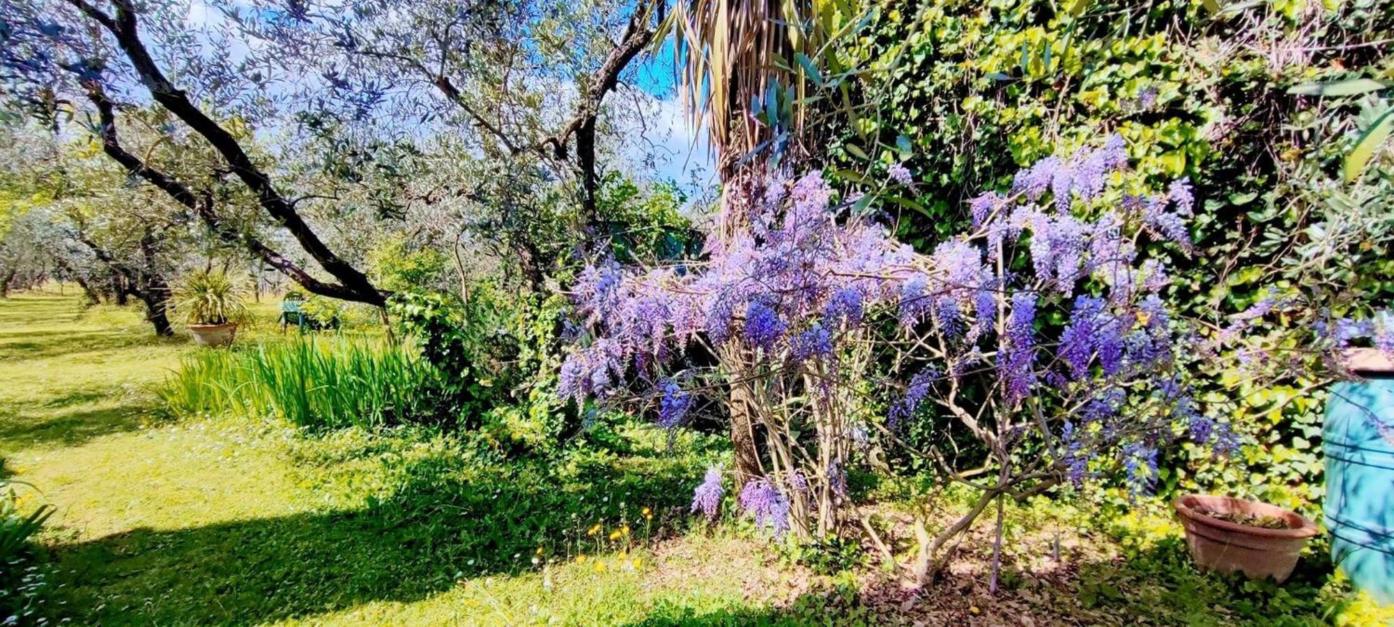 Villa La Casa Dei Nonni Larciano Exterior foto